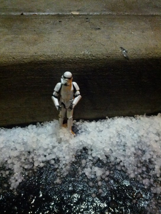 Finding Nemo in San Diego