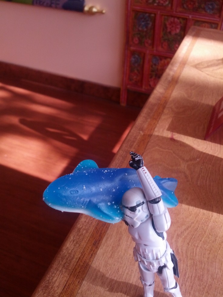 Happy Shark Week 2013!
